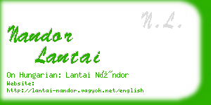 nandor lantai business card